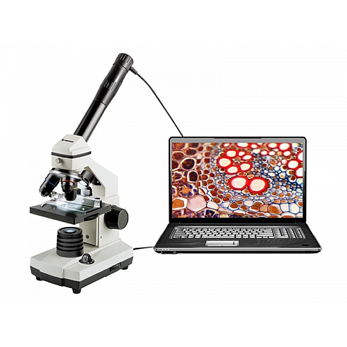 Kamery do mikroskopów, kamery mikroskopowe - Pomoce dydaktyczne, szkolne i  naukowe | Meritum