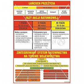 3522 Łańcuch przeżycia, Fazy akcji ratunkowej, Zintegrowany system ratownictwa na terenie województwa