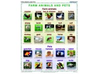 Farm animals and pets - plansza