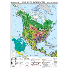 Ameryka Północna. Mapa gospodarcza