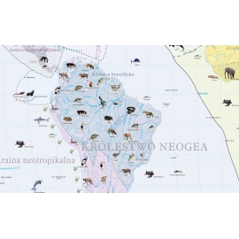 Krainy zoogeograficzne - mapa