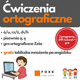 Ćwiczenia ortograficzne lic. wielostanowiskowa wieczysta