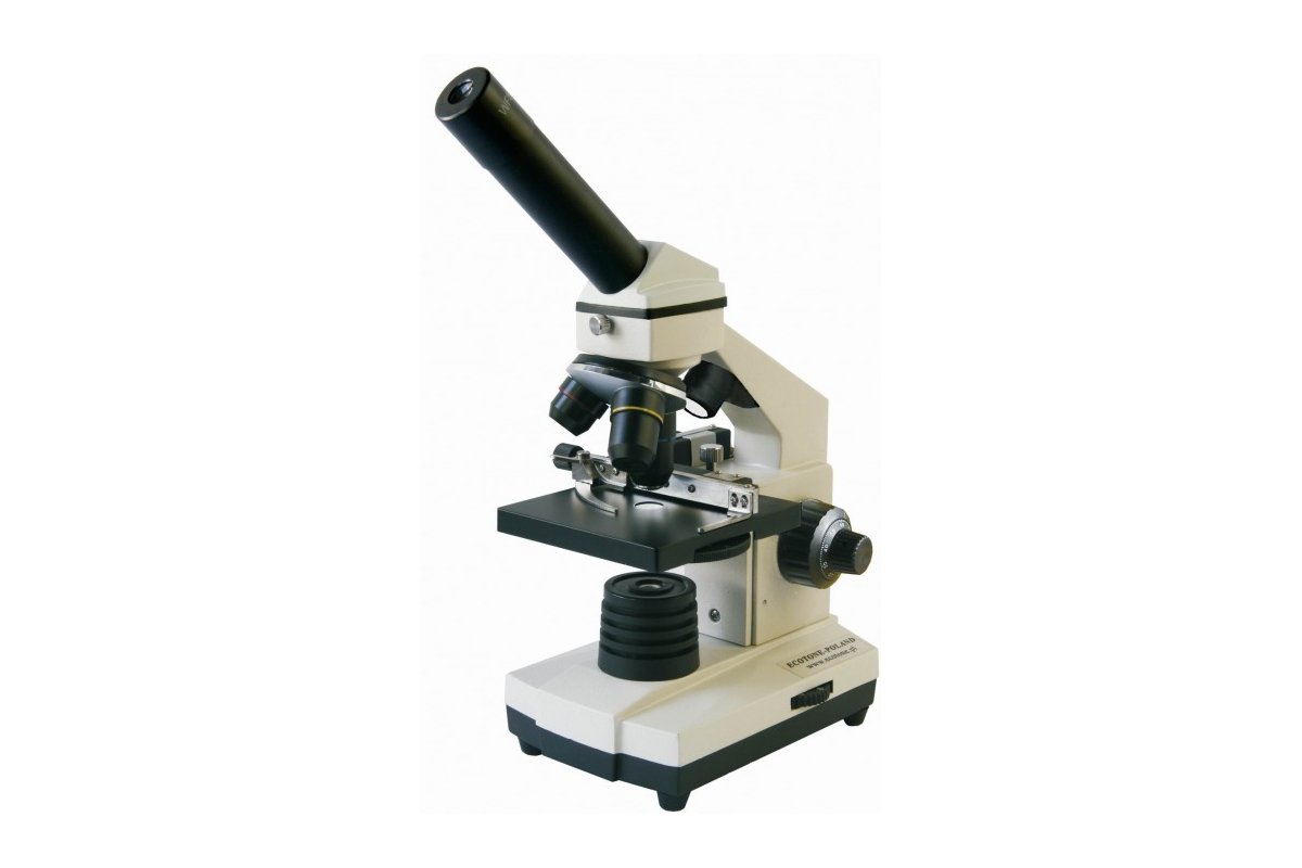 Mikroskop Szkolny EV-45 - Pomoce dydaktyczne, szkolne i naukowe | Meritum